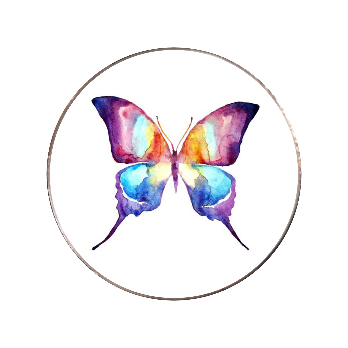 226 - Butterfly