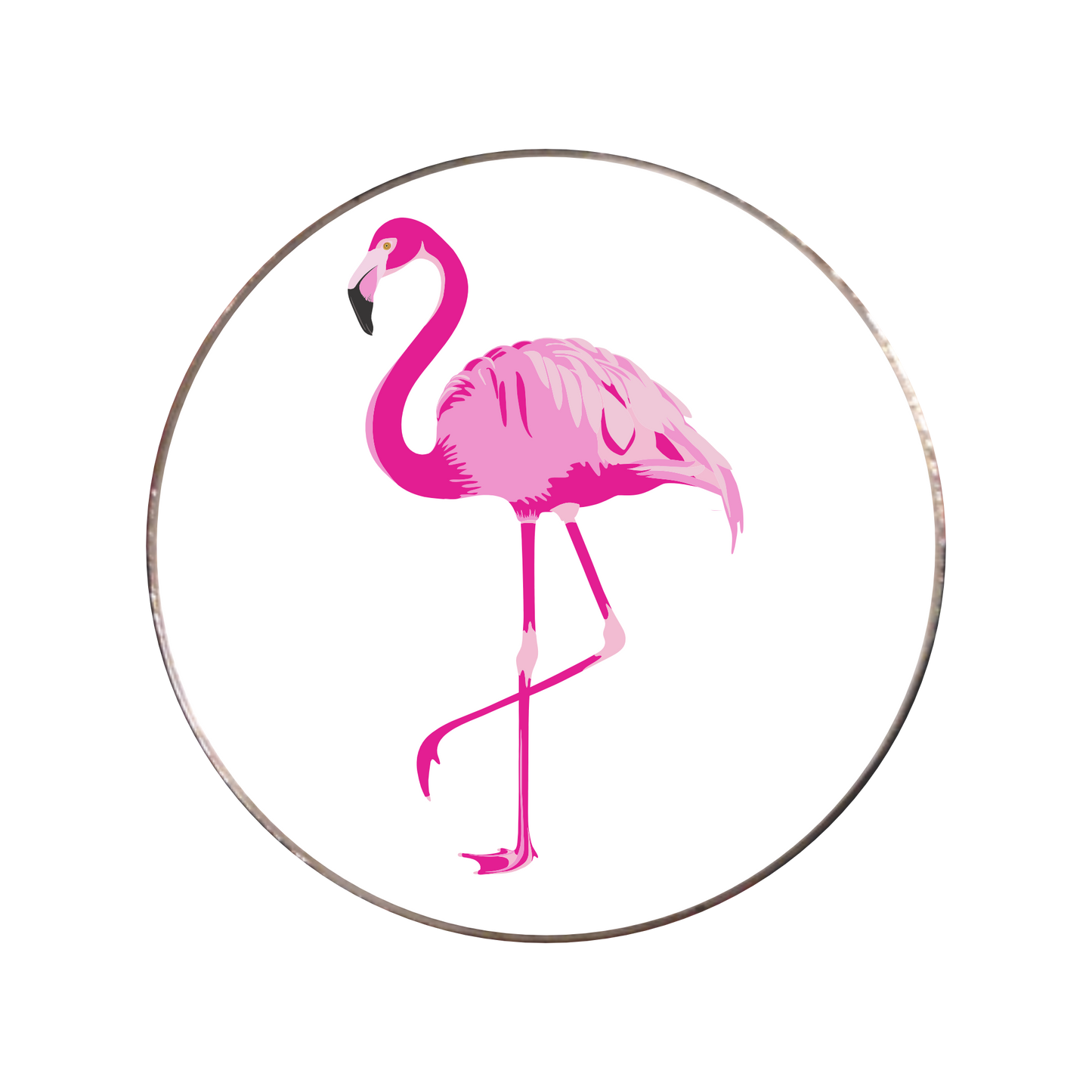 348 - Flamingo